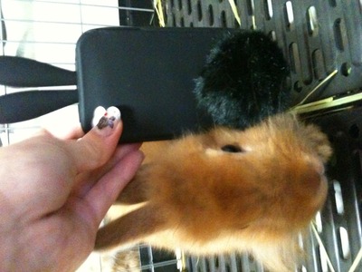 スマホうさピョン♪。
