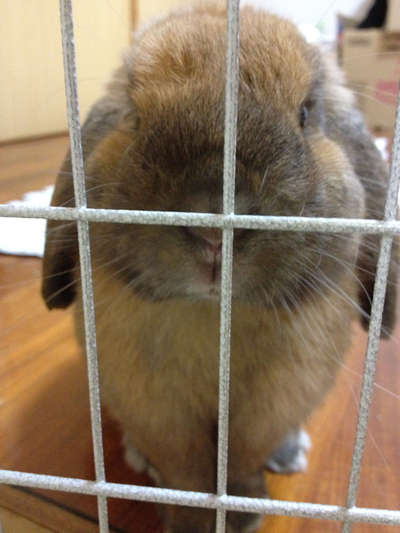 鼻鼻～～☆！！