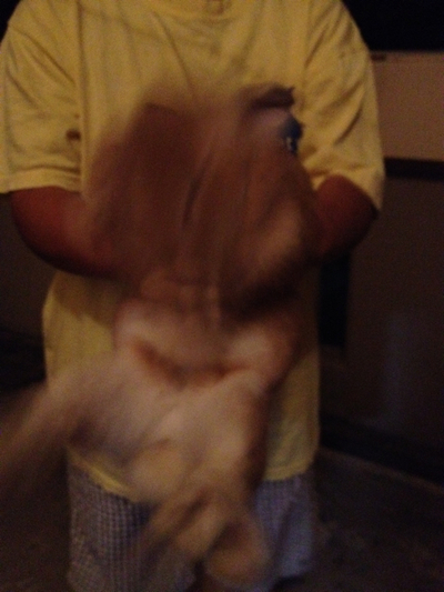 モモ様！！！！！！！