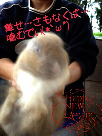 pcキターーーーーーーーーーーーーーーーー（・А・）！！