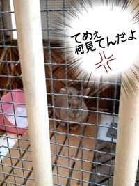 2013年01月13日