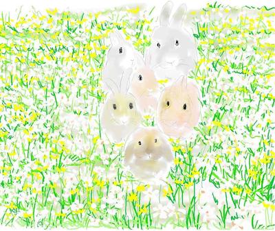 ウサギ達の似顔絵♪ｅｍｉｍａｍａさんありがとう☆