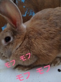 2012年11月02日