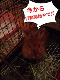 2012年12月16日