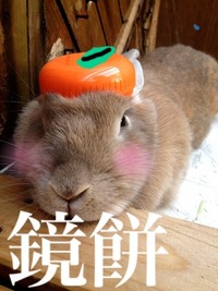 2012年12月17日