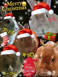 2012年12月21日