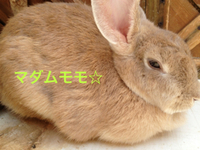 2012年09月14日