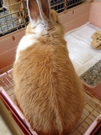2012年09月29日