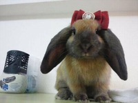 2012年10月18日