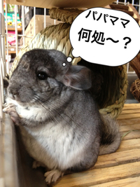 2012年11月07日