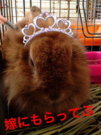 2012年12月01日