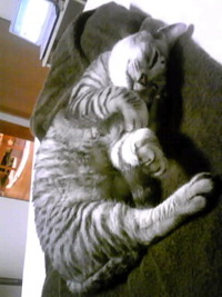昨日の出来事。 2009/06/25 15:07:32