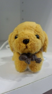 入荷o(^o^)o 2011/12/09 21:35:37