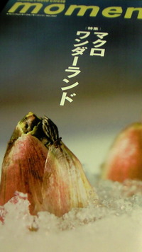 マクロワンダーランドヾ(=^ ▽^=)ノ 2010/03/04 08:00:11