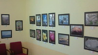 写真展＊７日目の様子 2010/05/07 07:42:02