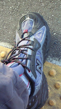白くまの靴選び(;^_^A 2010/06/30 21:24:08
