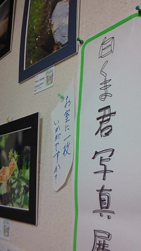白くま写真展、長期開催中♪ 2010/07/12 07:42:51