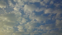 みんなのまち写真集(*^_^*) 2010/08/20 07:49:42