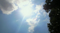 白くま写真展続いています♪ 2010/09/14 07:41:41