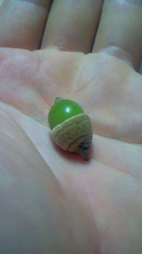 感謝の一日(^-^) 2010/09/12 23:59:05