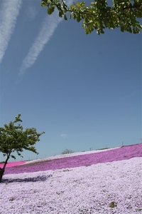 ようこそ袖ケ浦へ(*^_^*) 2011/04/18 07:40:37