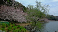 春の風を感じに 2011/04/10 12:02:57