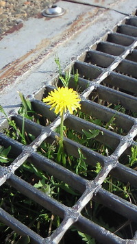 言葉のチカラ 2011/04/12 07:28:50