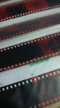 機械式フィルムカメラヾ(=^ ▽^=)ノ 2011/06/03 06:59:46
