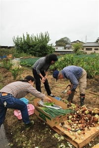 榛名だより(^-^) 2010/11/10 23:20:52