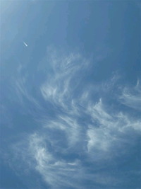 これってＵＦＯ？ 2010/07/30 06:58:53