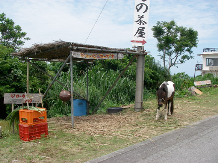 単独キャンプツー　二日目