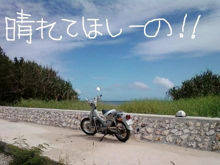 明日はどうなの？