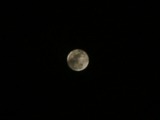 昨日の月と今日の月（＾０＾）