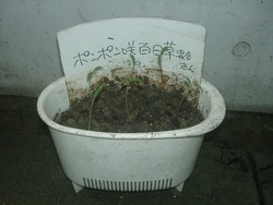 広さより深さ？
