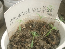 切磋琢磨してま～す（＾０＾）