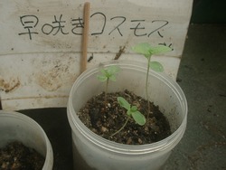 切磋琢磨してま～す（＾０＾）