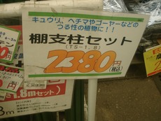 姉妹ハルサ～熟（＾０＾）