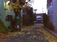 東京旅日記その１