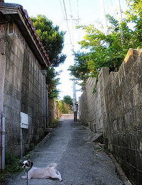 ３９年前の沖縄で　その７