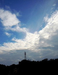 いよいよ年の瀬も　押し詰まる。