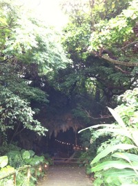 【玉城】　ガンガラーの谷 ケイブカフェ 2011/05/10 17:00:00