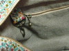 ＬｉｂｅｒｔｙのＣａｔｈ Ｋｉｄｓｔｏｎ？？