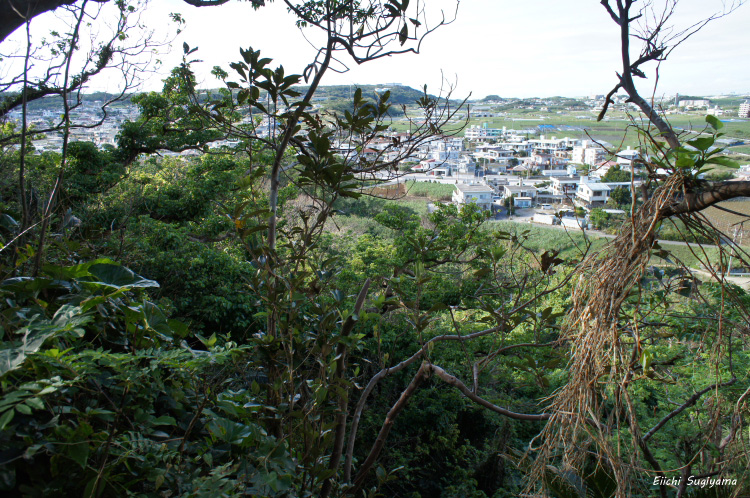 八重瀬町　91.4高地