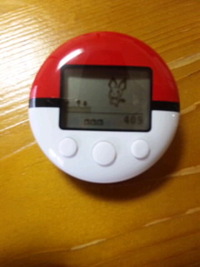 これのお陰で♪