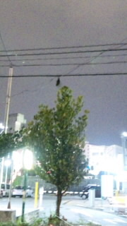 帰宅途中に♪
