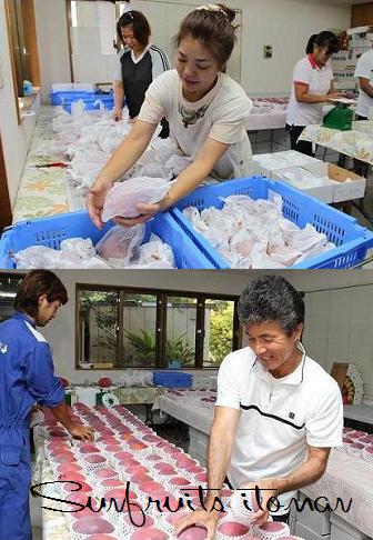 もうそろそろかなぁ～ うわぁ！ 色づいている！