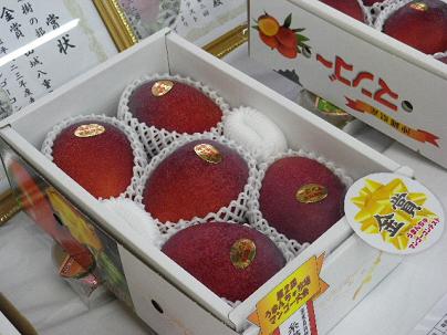 マンゴーの日 嬉しい速報！！！