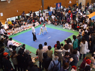 第１５回フルコンタクトカラテ選手権大会