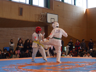 第１５回フルコンタクトカラテ選手権大会
