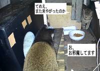 2025年03月22日